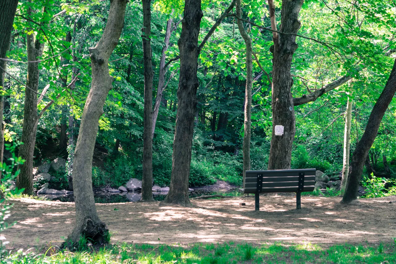 Monitoring site image