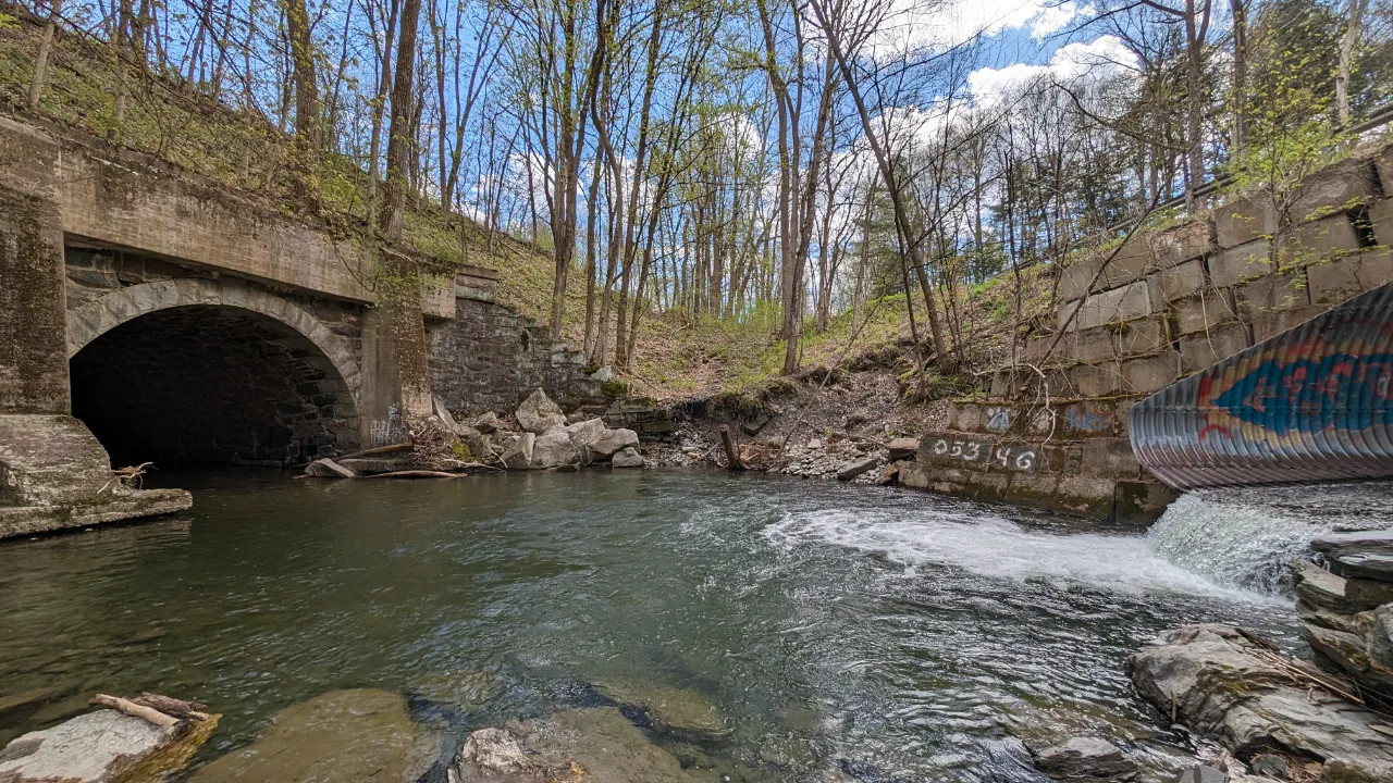 Monitoring site image