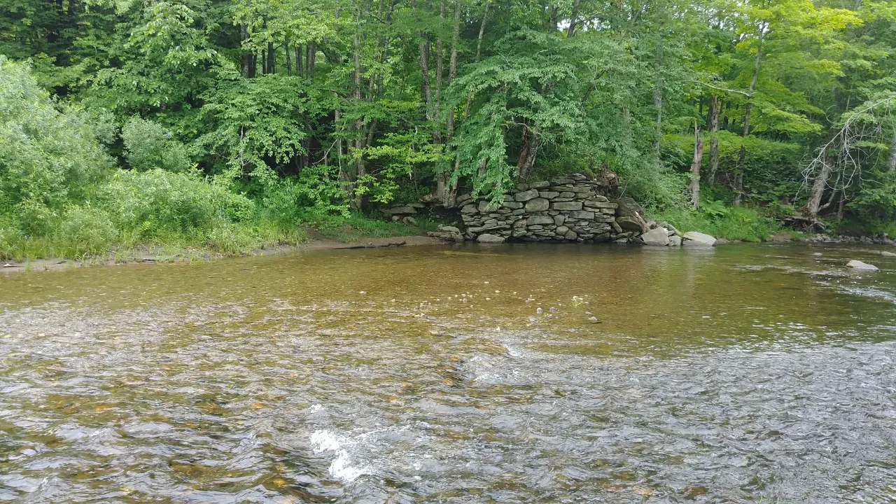 Monitoring site image