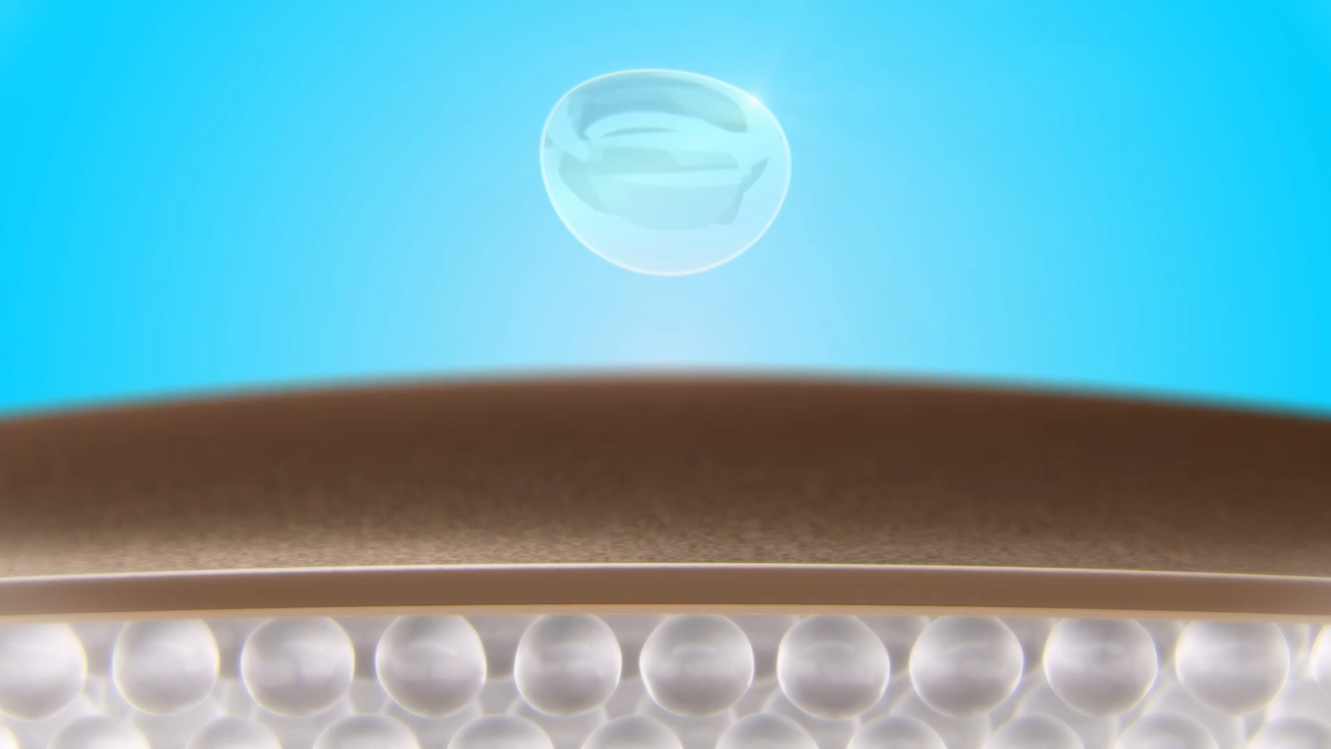 WNBA No Shade Img 02