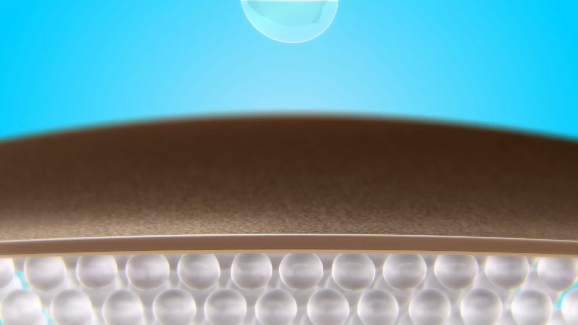 WNBA No Shade Img 01