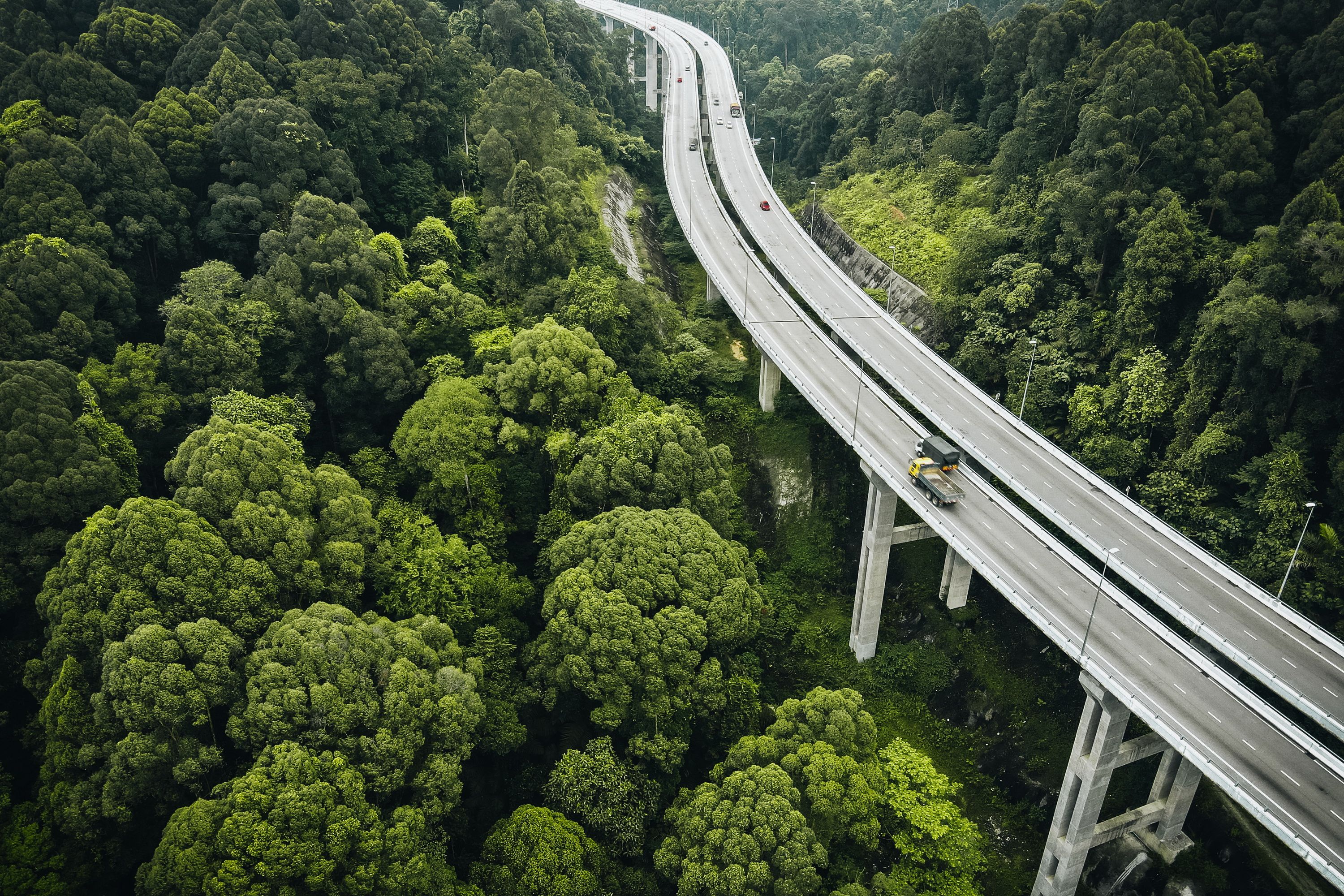 Vue aérienne d'un viaduc autoroutier traversant une forêt dense