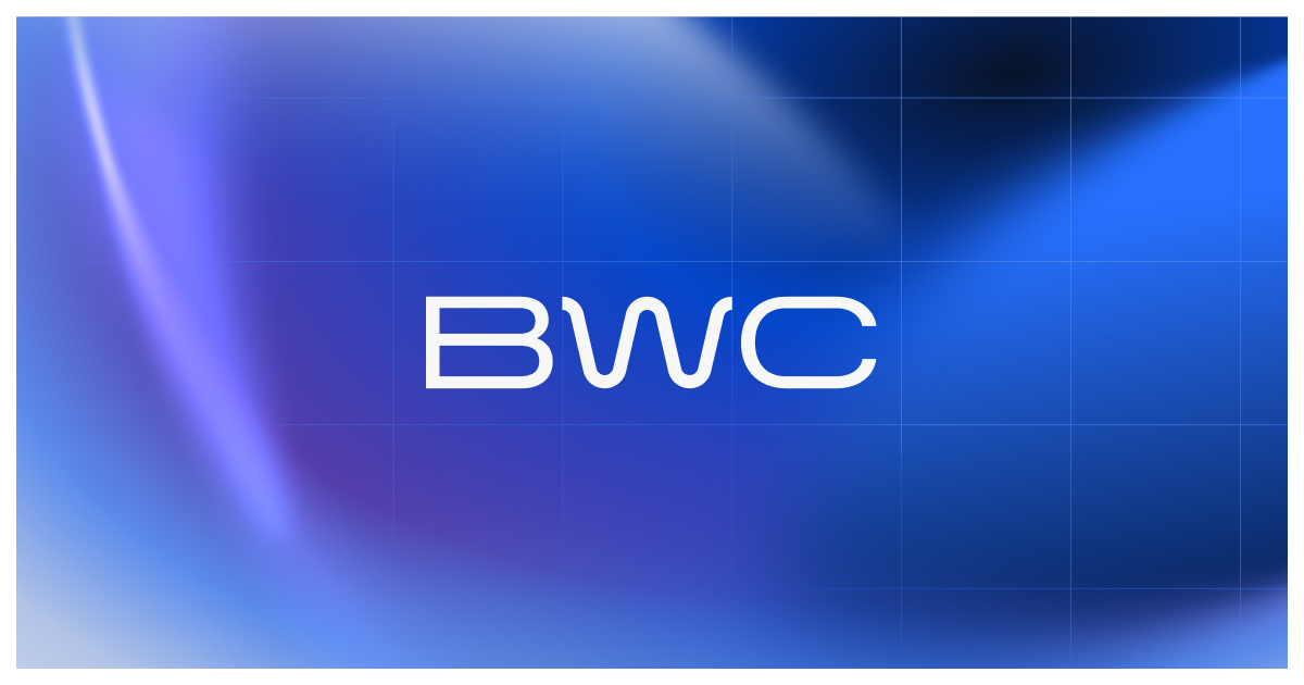 Blue Wire Capital photo