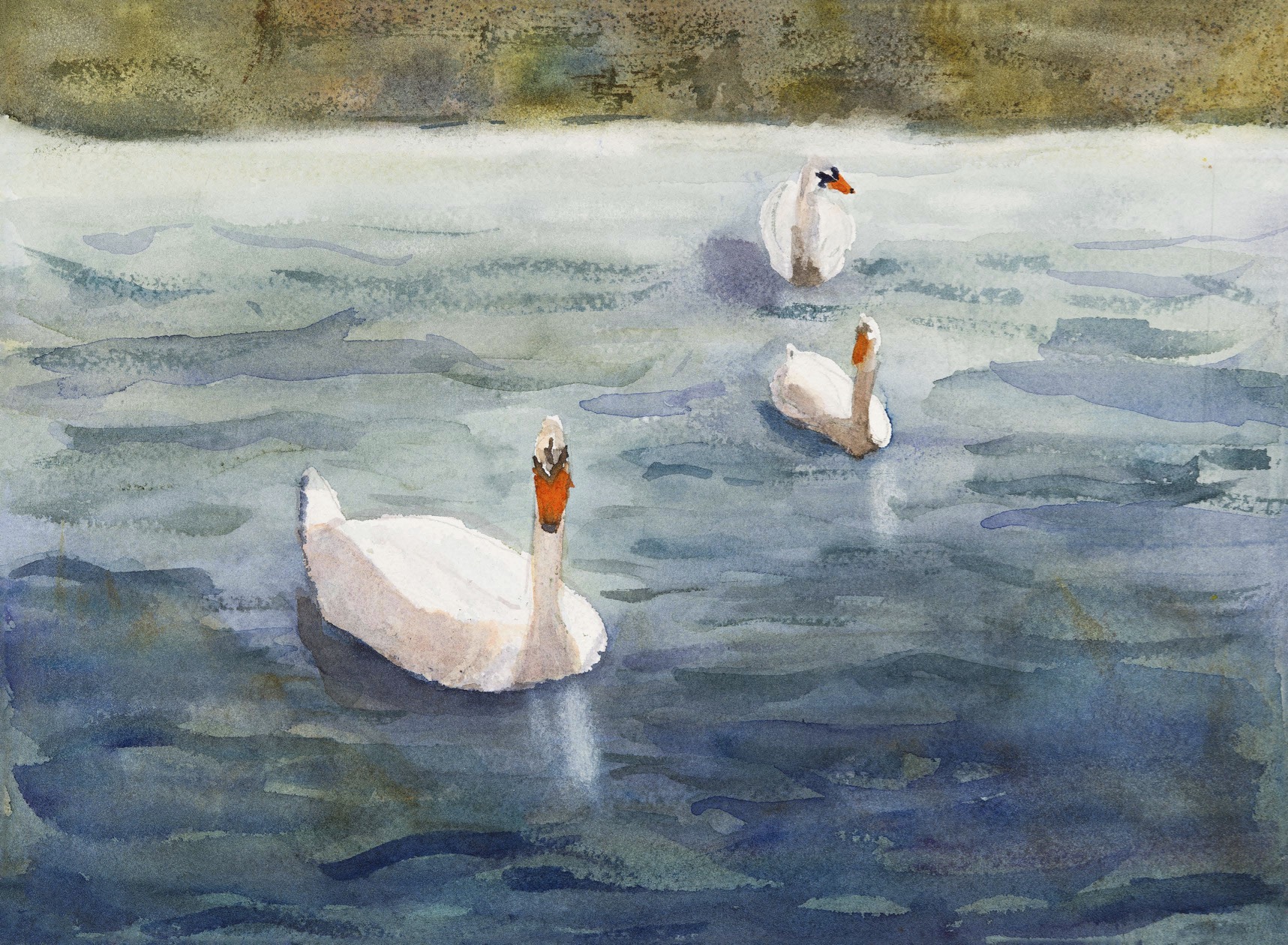 The Swan Pond