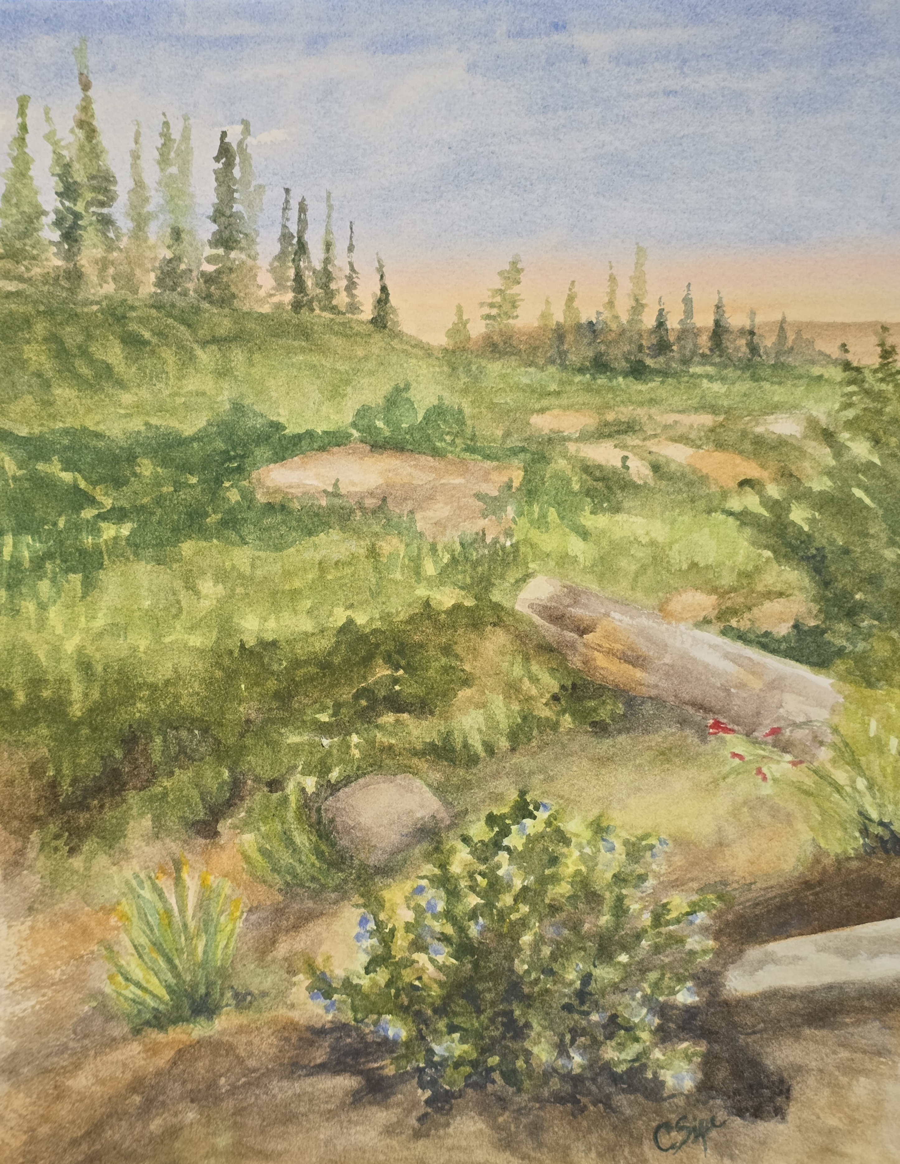 Alpine Meadow at Daybreak