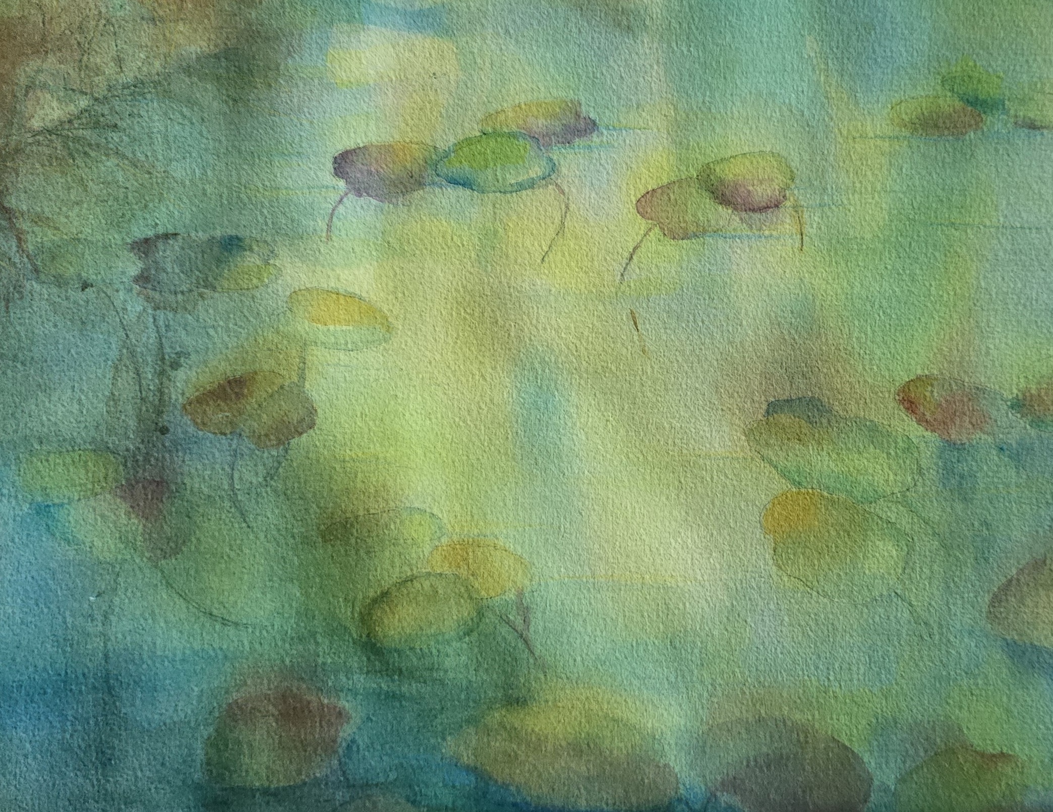 West Leaf Lake Lilies