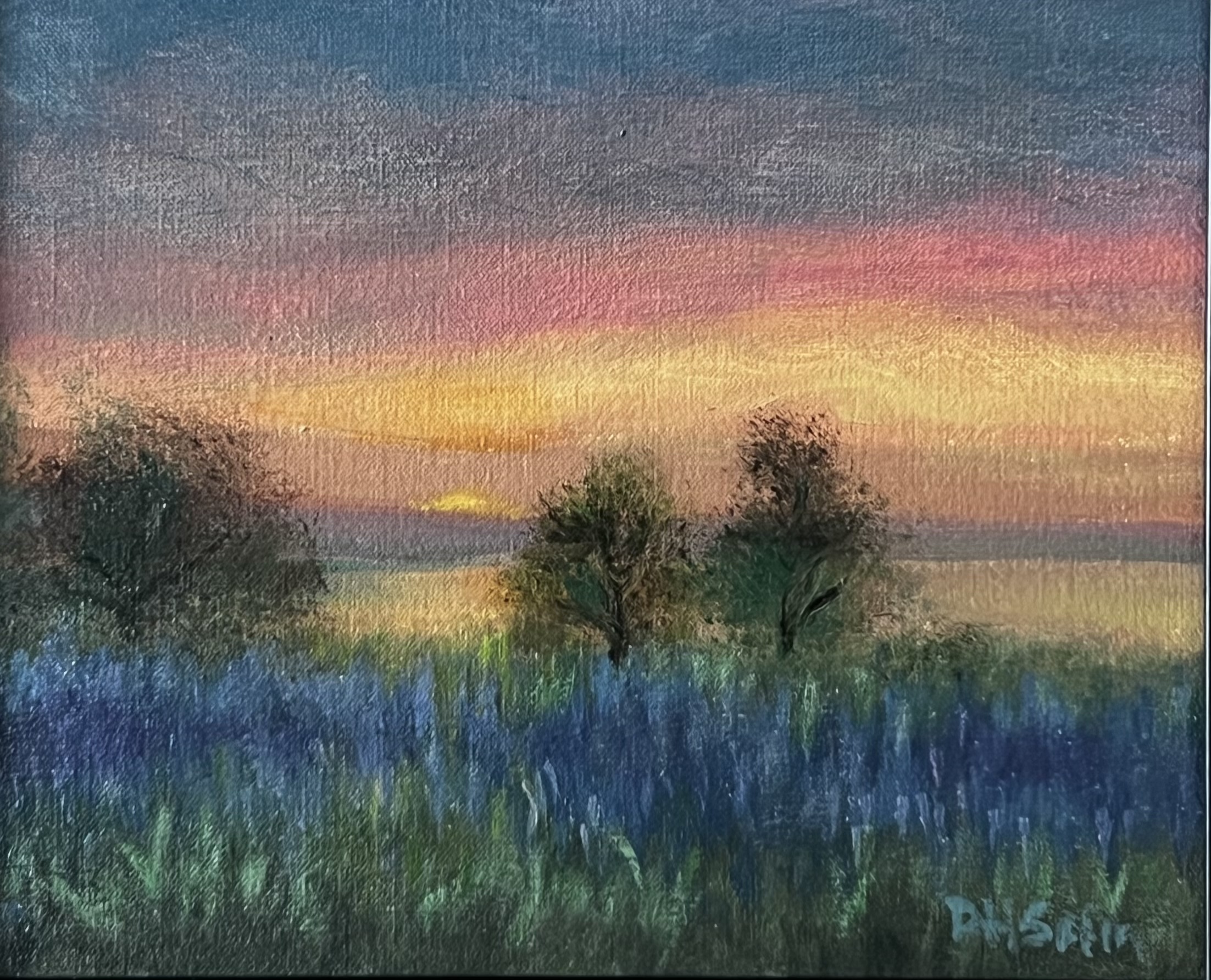 Lupine Meadow at Sunset