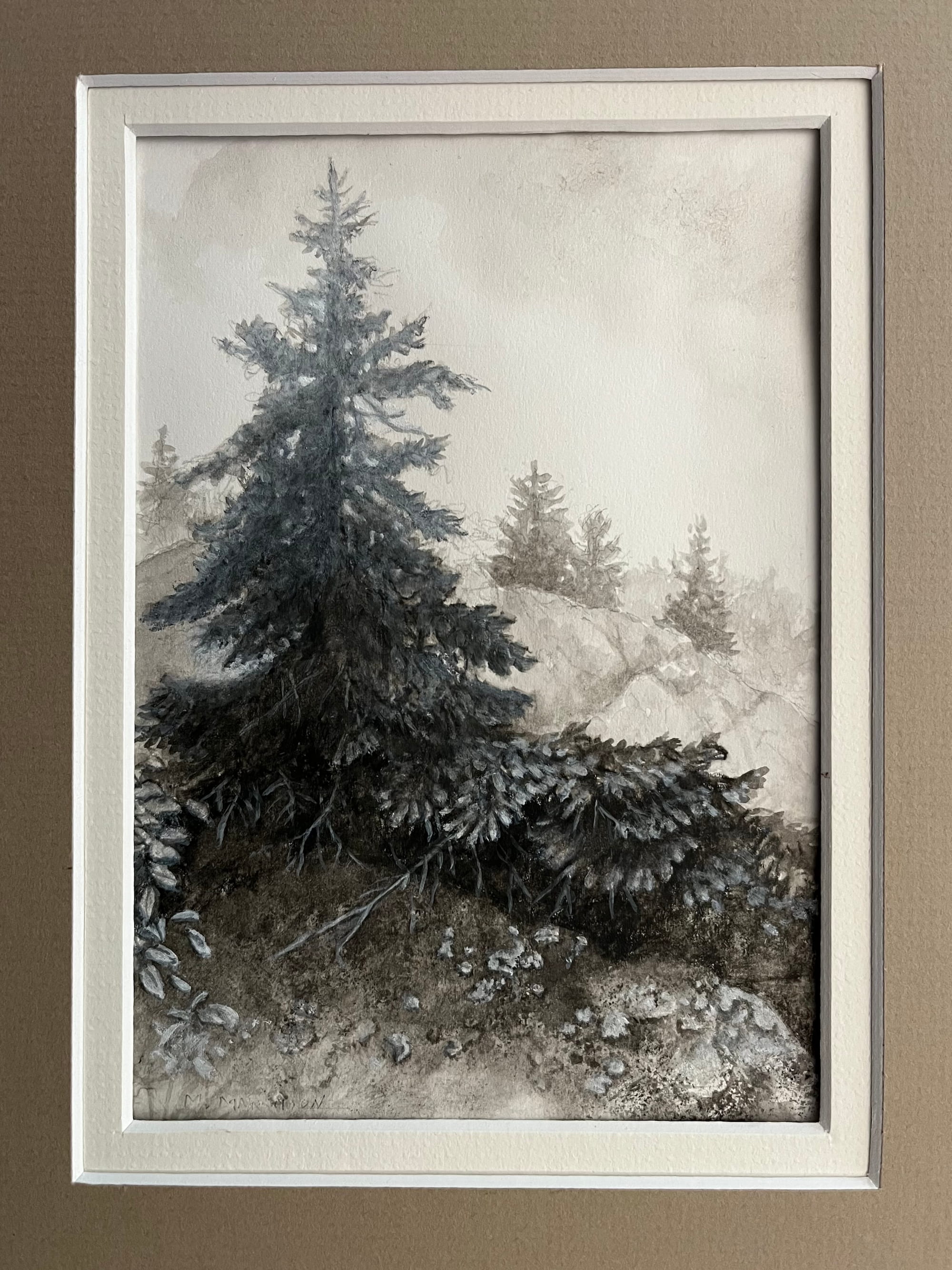 Misted Spruce