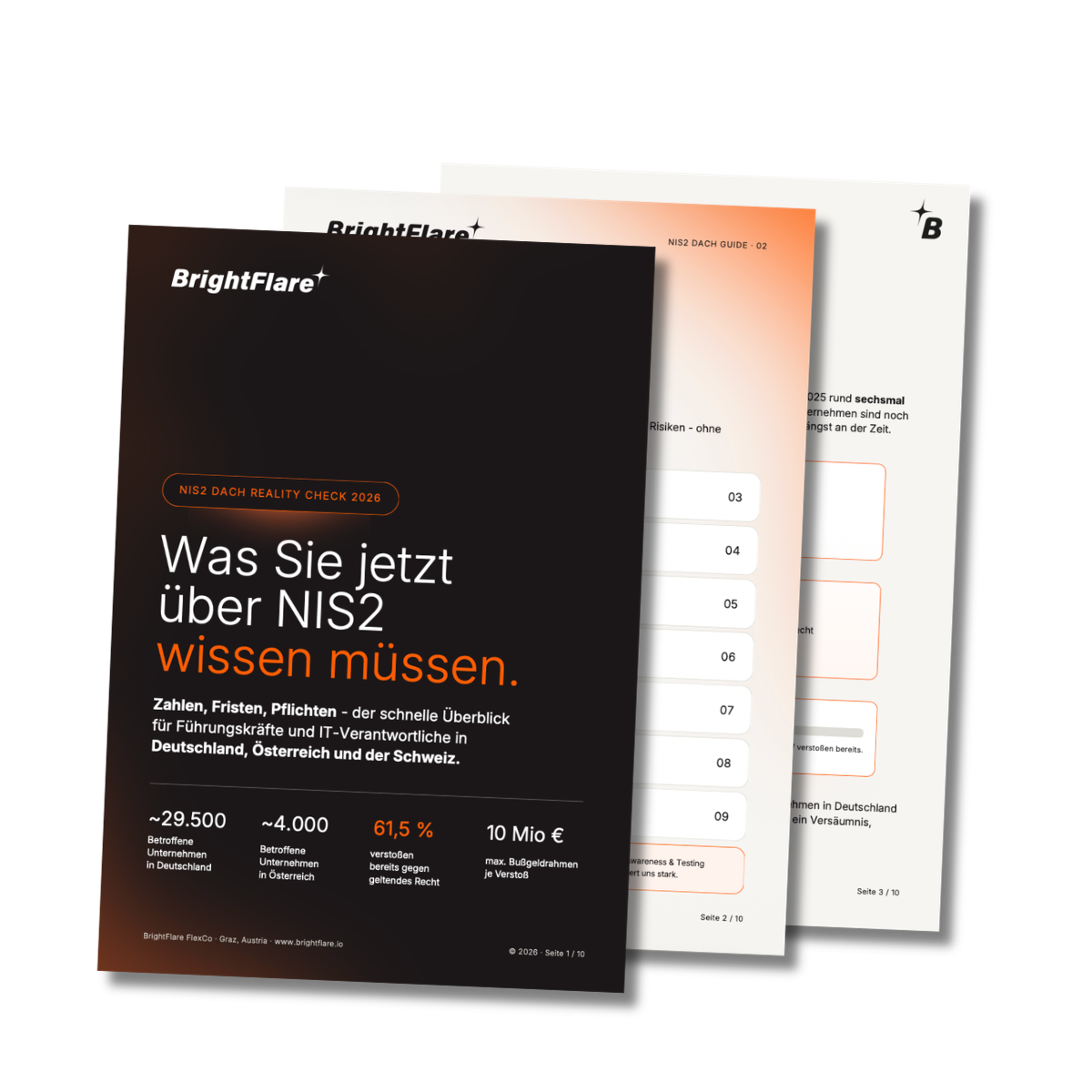 NIS2 Guide von BrightFlare - Was Sie jetzt wissen müssen!