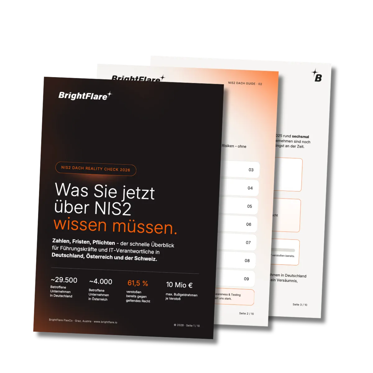 NIS2 Guide von BrightFlare - Was Sie jetzt wissen müssen!