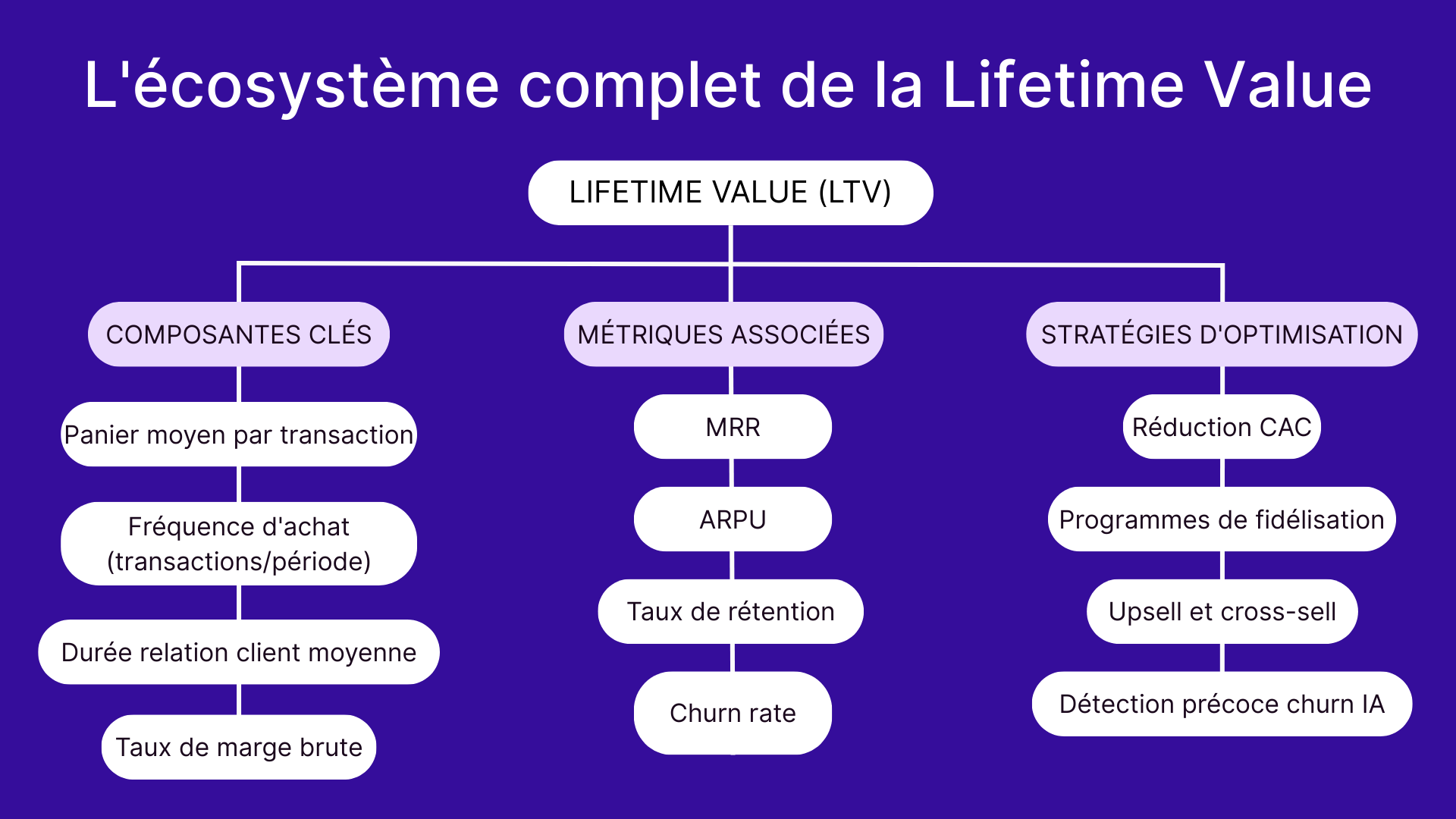 L'écosystème complet de la Lifetime Value
