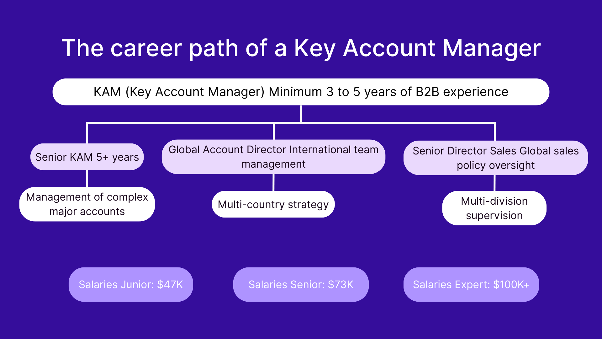 The career path of a Key Account Manager