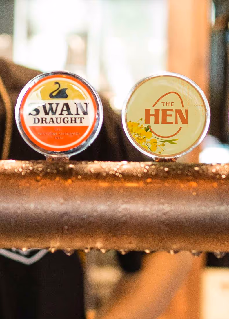 Close-up of Swan Draught and The Hen branded beer taps with condensation