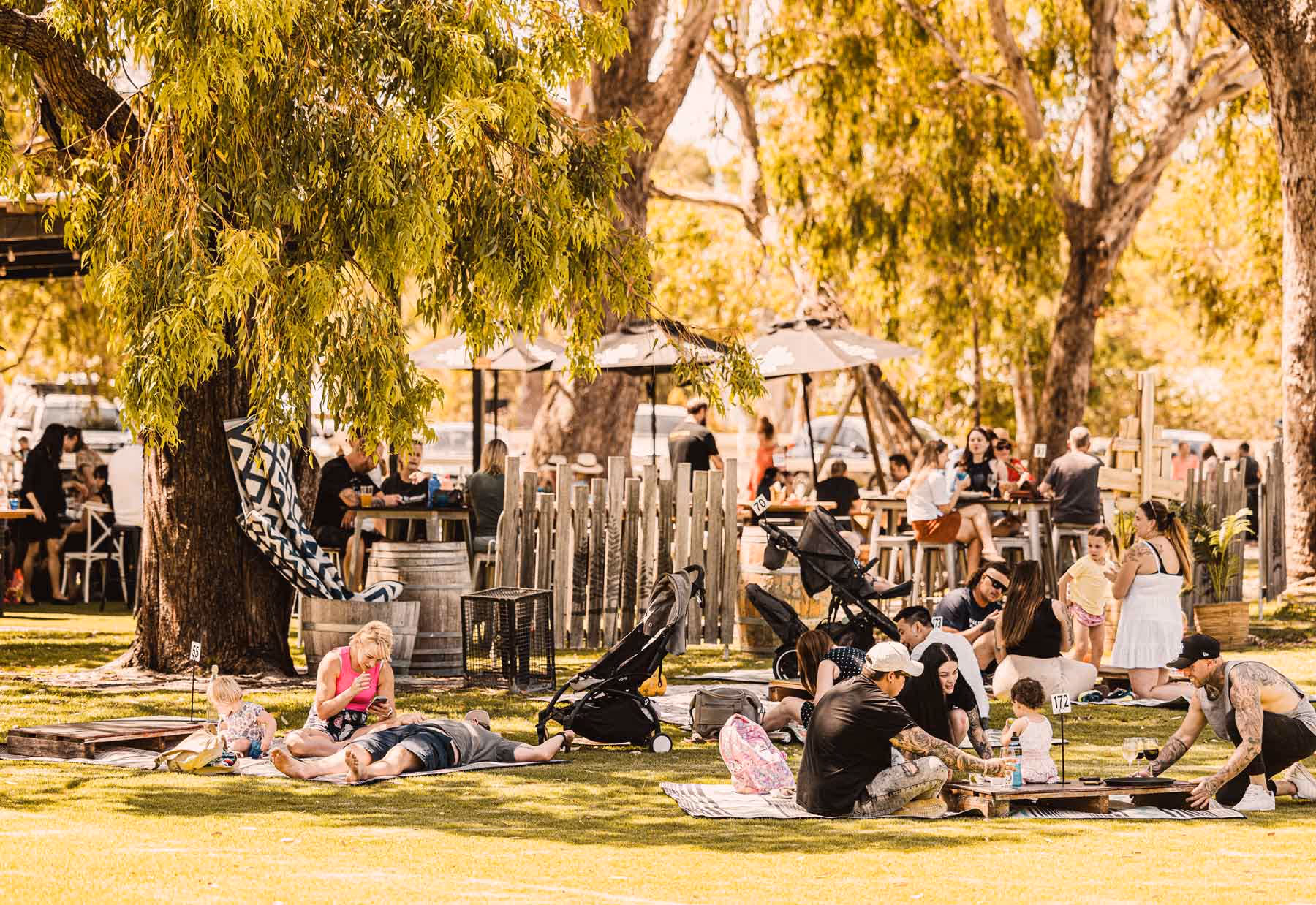Families and friends relaxing on picnic blankets and sitting at tables under large shady trees at an outdoor venue.