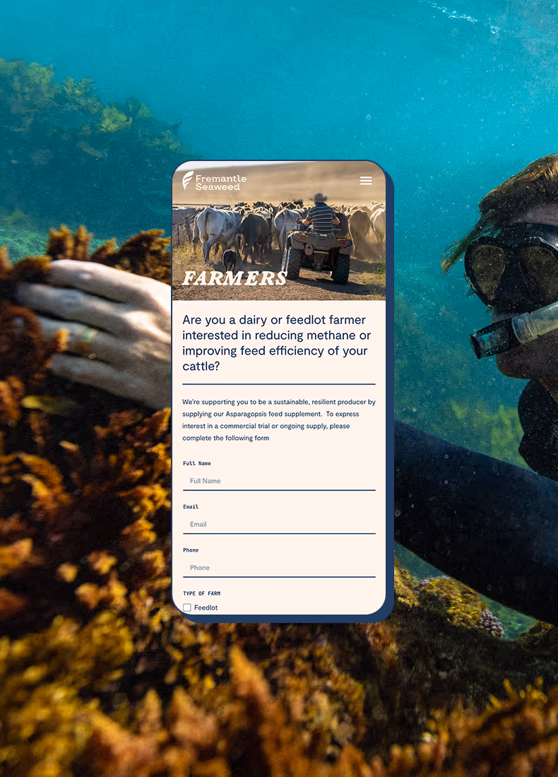 Mobile view of Fremantle Seaweed Farmers page with cattle image and form for Asparagopsis feed supplement interest