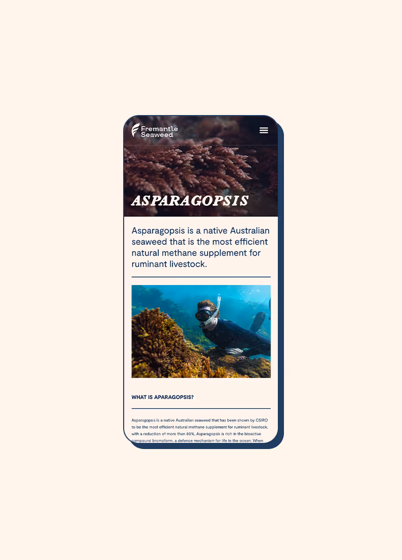 Mobile view of Fremantle Seaweed Asparagopsis page with close-up seaweed photo and diver underwater image