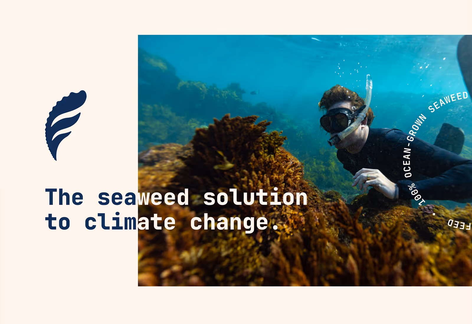 Underwater snorkeler above seaweed with Fremantle Seaweed branding and sustainability message.