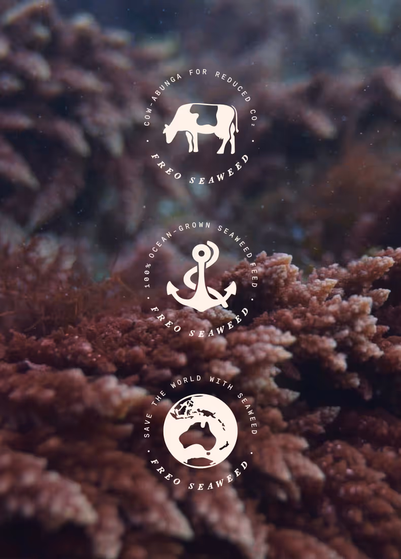 Three Fremantle Seaweed badge logos over underwater seaweed background showing sustainability icons.