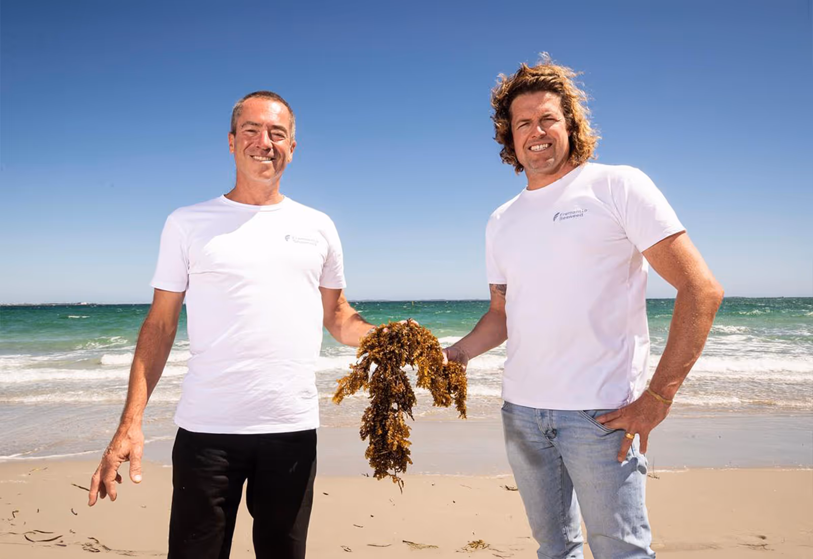 Two men holding seaweed on the beach wearing Fremantle Seaweed T-shirts.