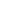 TikTok icon
