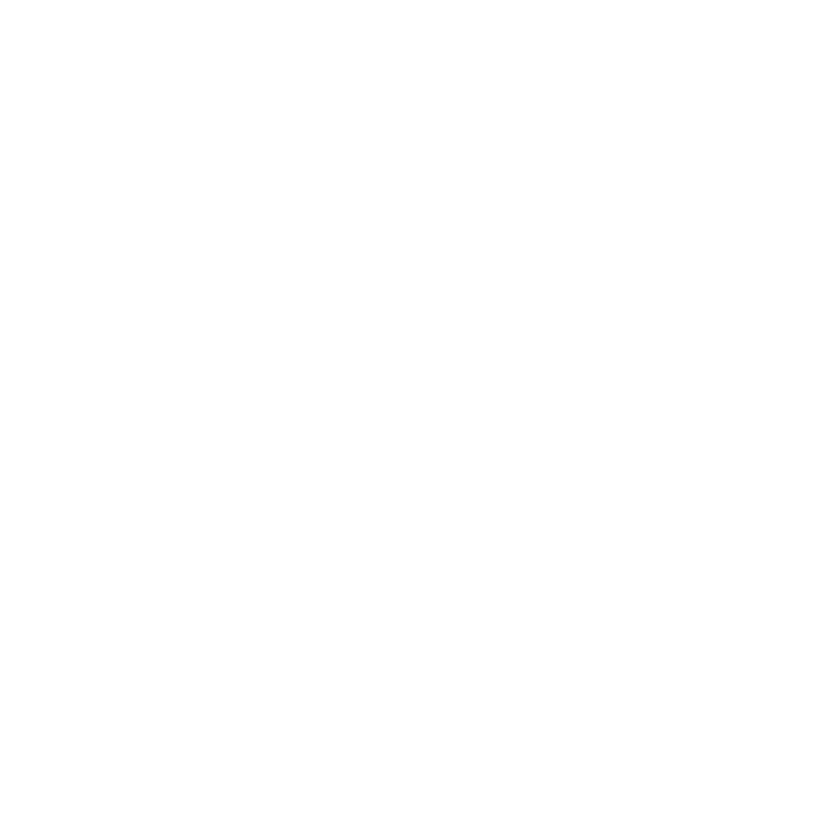 Schriftzug Wirtschaftsprüfung