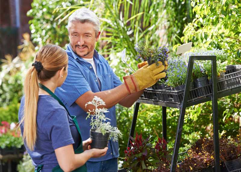Le maître d'apprentissage accompagne l'autonomie professionnelle de l'apprenti