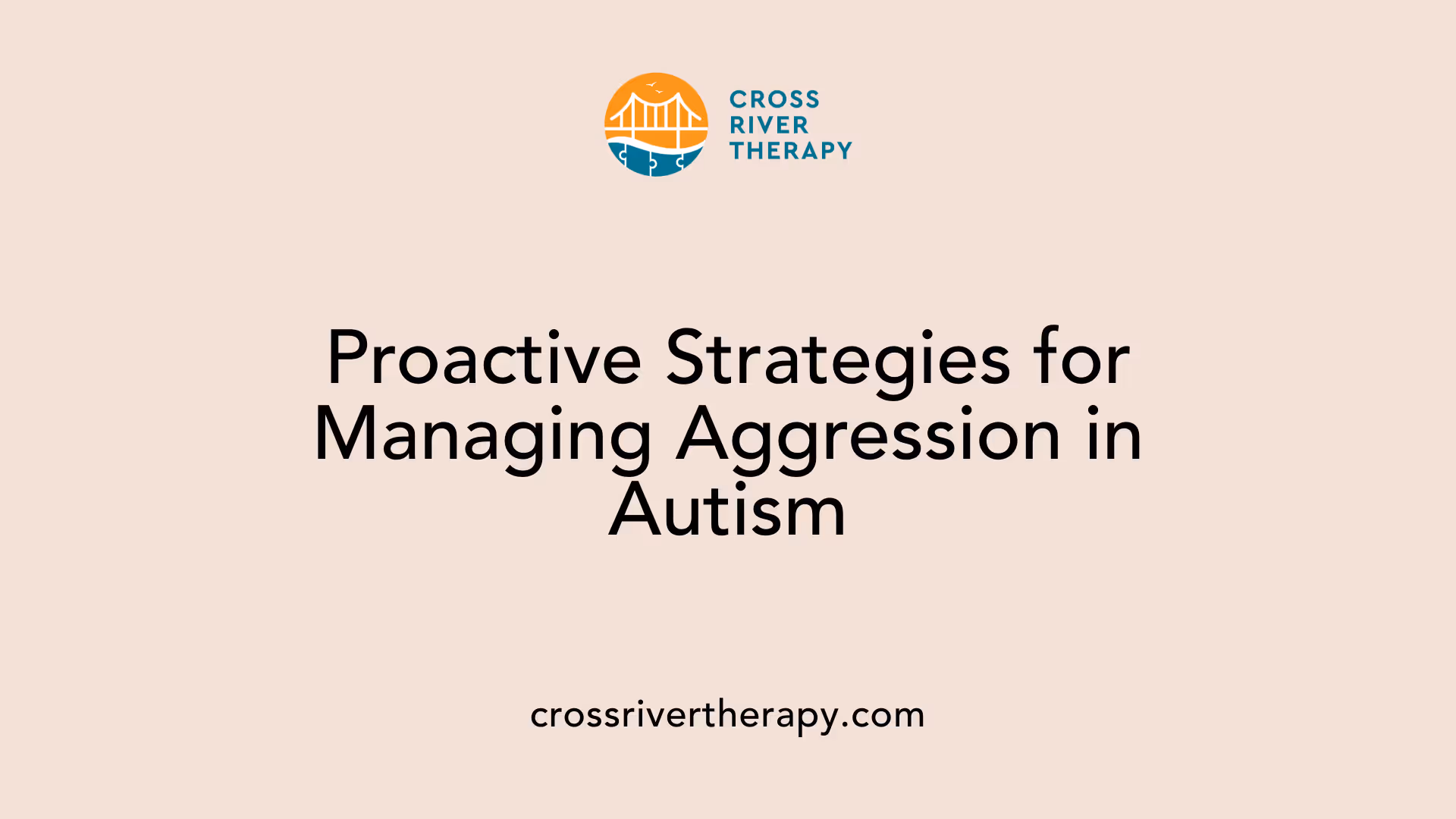 Proactive Strategies for Managing Aggression in Autism