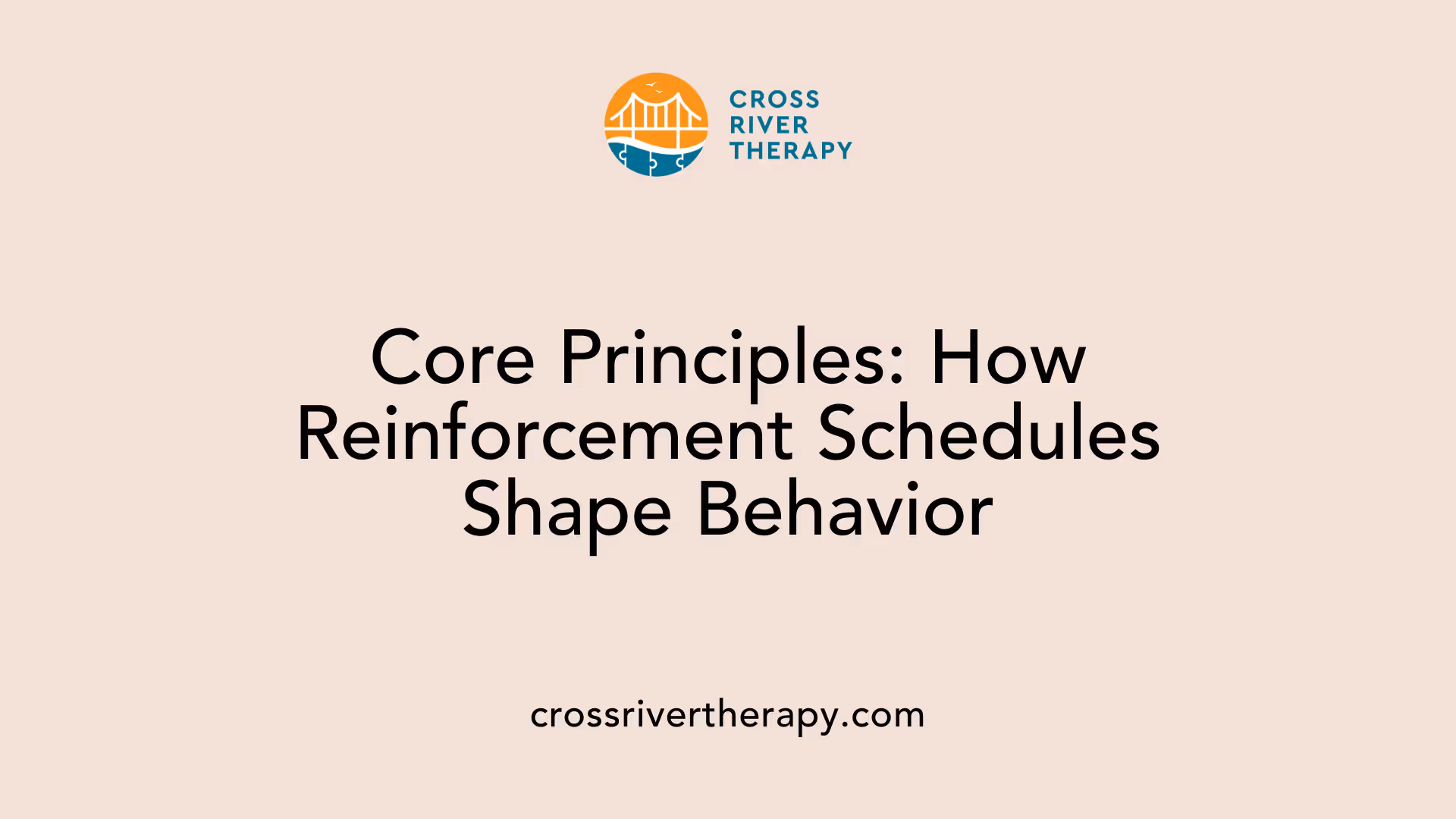 Core Principles: How Reinforcement Schedules Shape Behavior