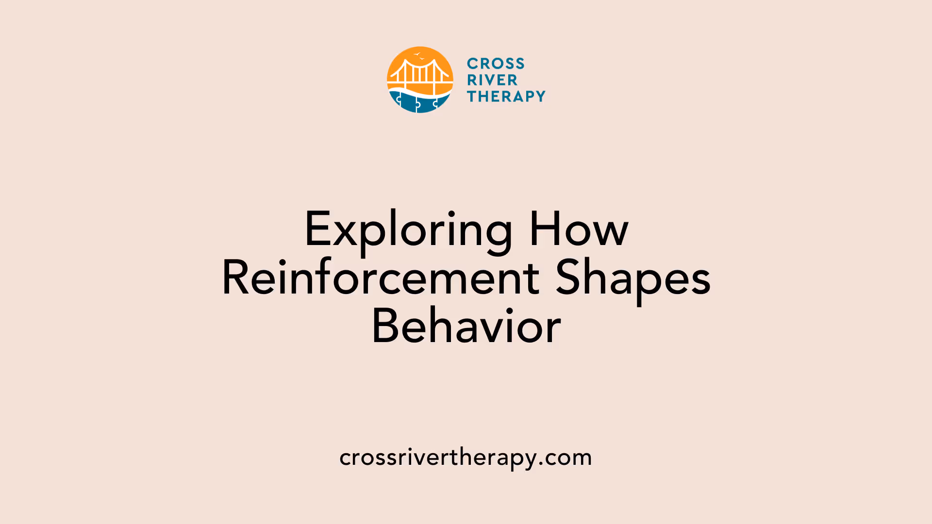 Exploring How Reinforcement Shapes Behavior