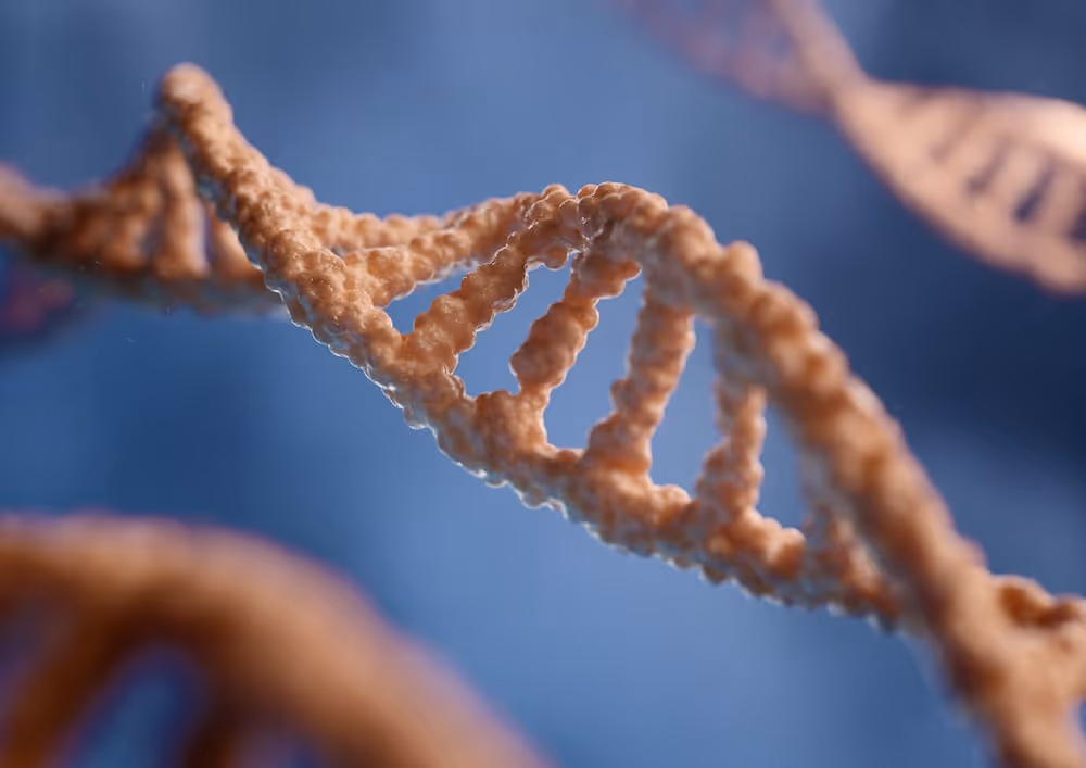 a close up of a single strand of food