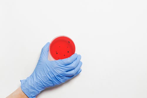 Free Hand Holding Petri Dish Stock Photo