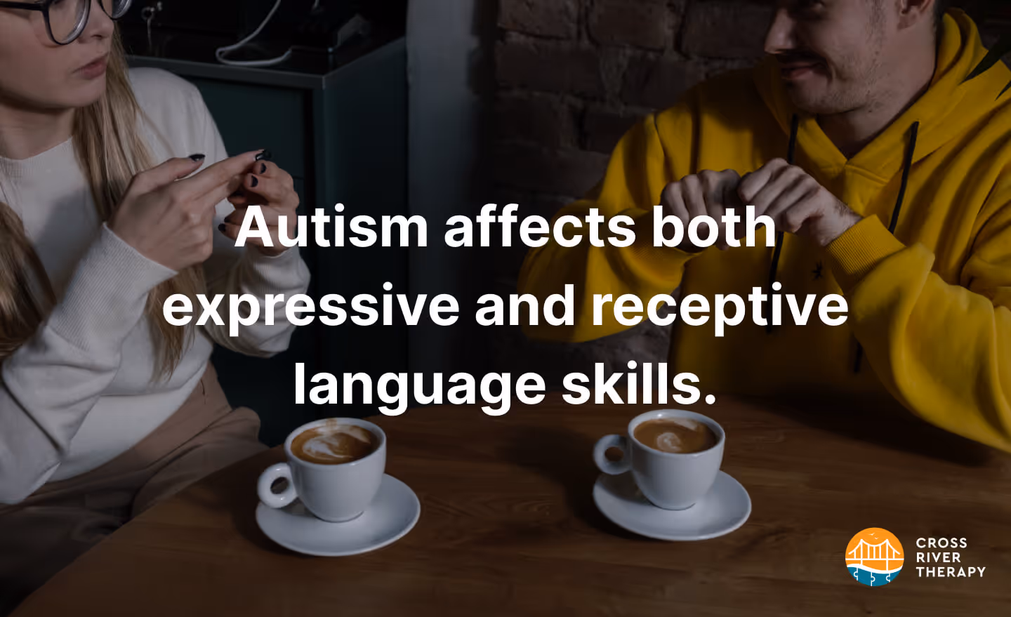 Autism affects both expressive and receptive language skills.