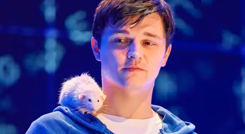 Christopher John Francis Boone from The Curious Incident of the Dog in the Night-Time | CharacTour