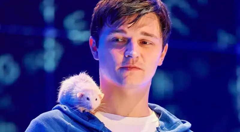 Christopher John Francis Boone from The Curious Incident of the Dog in the  Night-Time | CharacTour