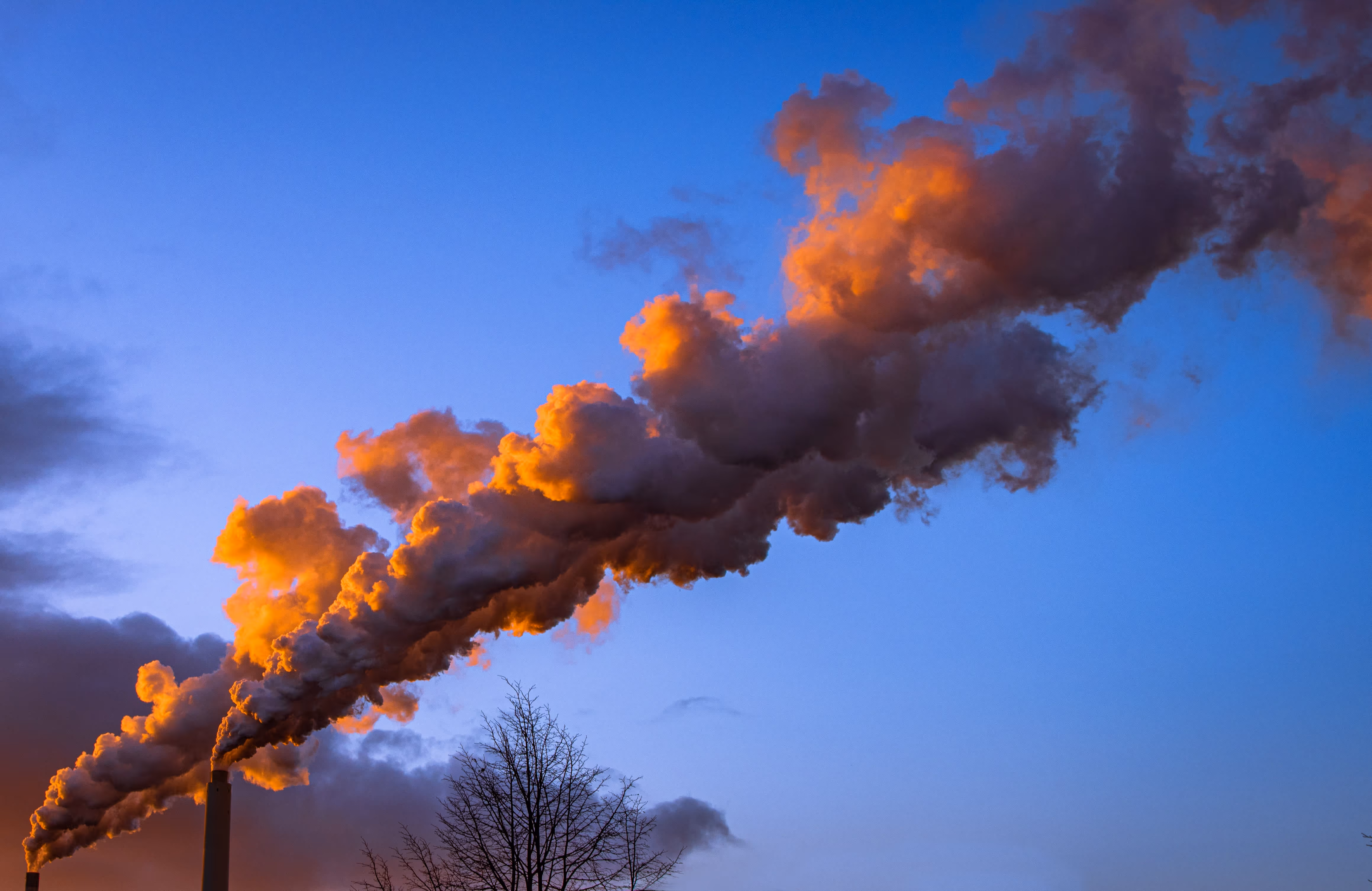 Environmental Causes & Risk Factors Of Autism