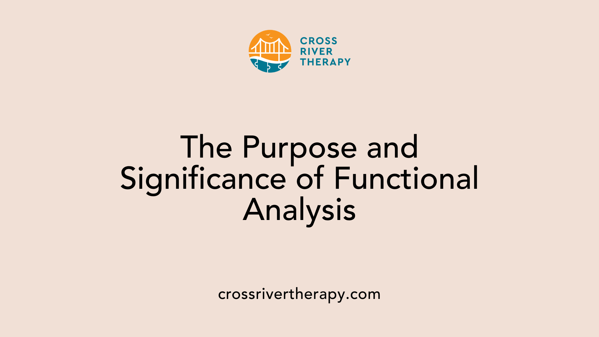 The Purpose and Significance of Functional Analysis
