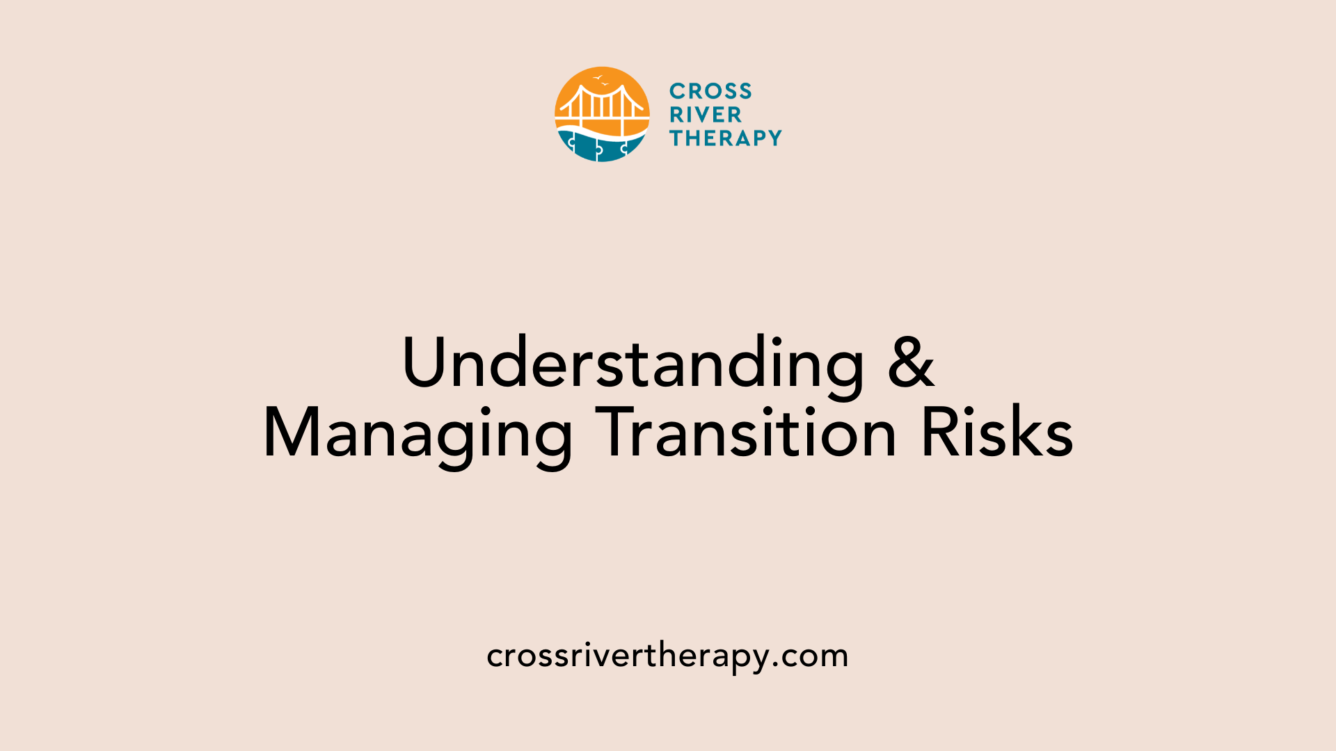 Understanding &amp; Managing Transition Risks
