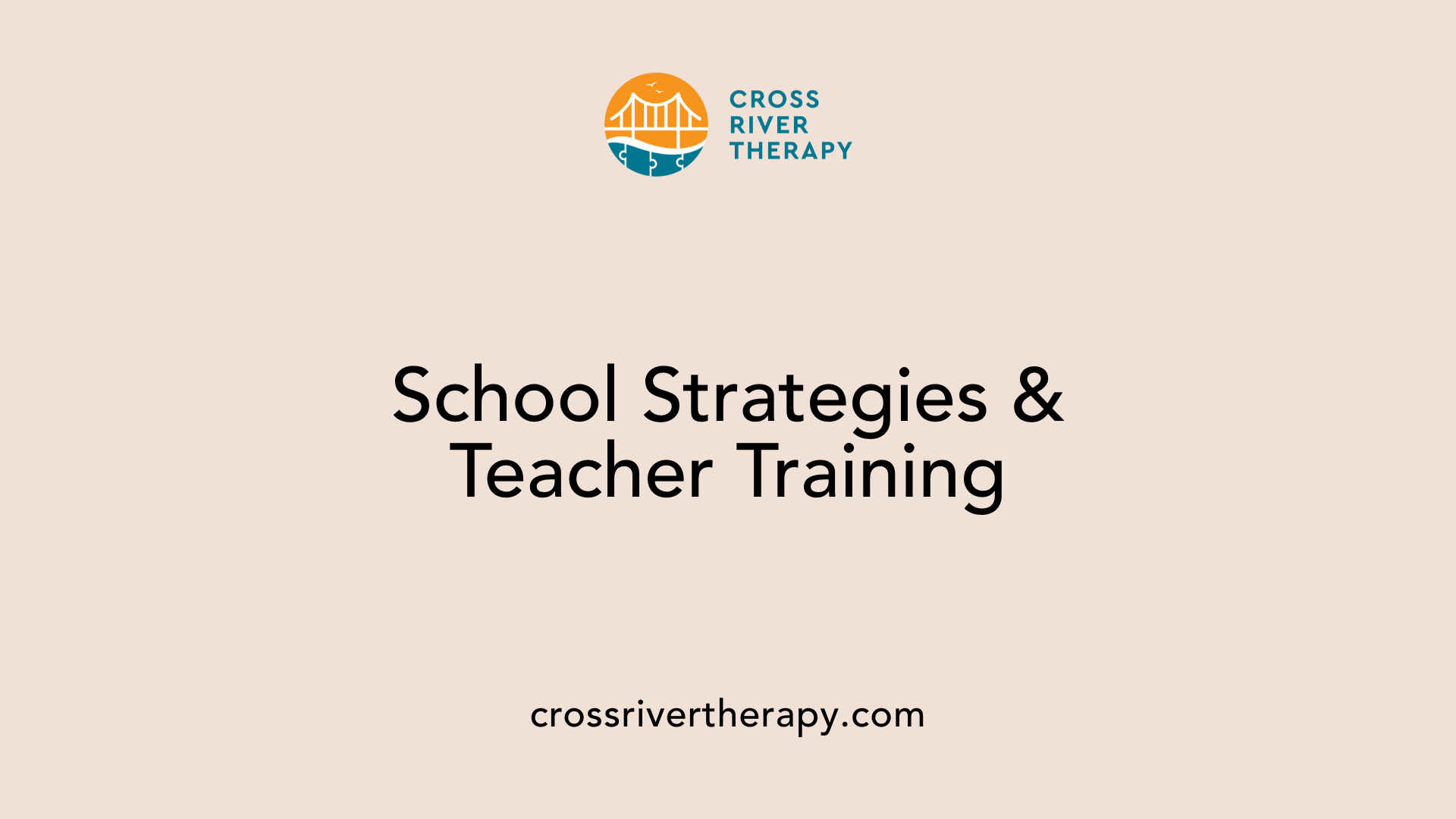 School Strategies &amp; Teacher Training