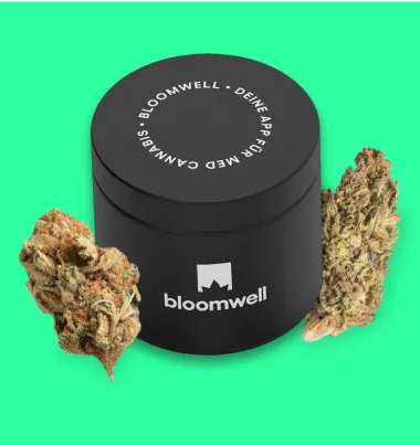 Schwarzer Bloomwell-Behälter mit zwei Cannabisblüten auf hellgrünem Hintergrund.