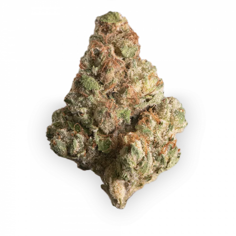 Breezy Gelato Strain Bild