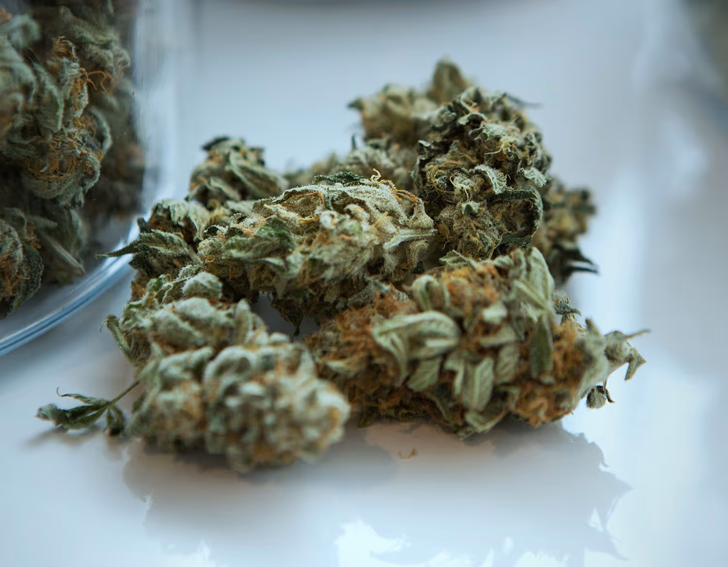 Nahaufnahme mehrerer getrockneter Cannabisknospen auf einer weißen Oberfläche, wobei ein Teil eines Glasbehälters zu sehen ist.