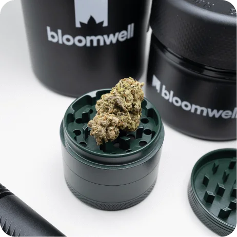 Das Bild zeigt einen dunkelgrünen Grinder, der geöffnet ist und einen Cannabisbud darauf liegen hat. Im Hintergrund sind schwarze Behälter mit dem weißen Logo und der Schrift "bloomwell" zu sehen. Die Szene suggeriert das Mahlen von Cannabis als Vorbereitung für ein Rezept. Der Grinder und die Behälter wirken professionell und hochwertig, was in den Kontext eines Anbieters für Cannabis-Online-Rezepte passt.