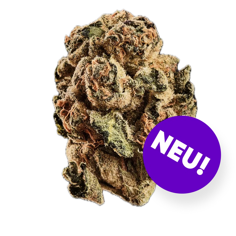 Close-up of a dense cannabis bud covered with orange hairs and crystals on a black background with a purple circle labeled 'NEU!'