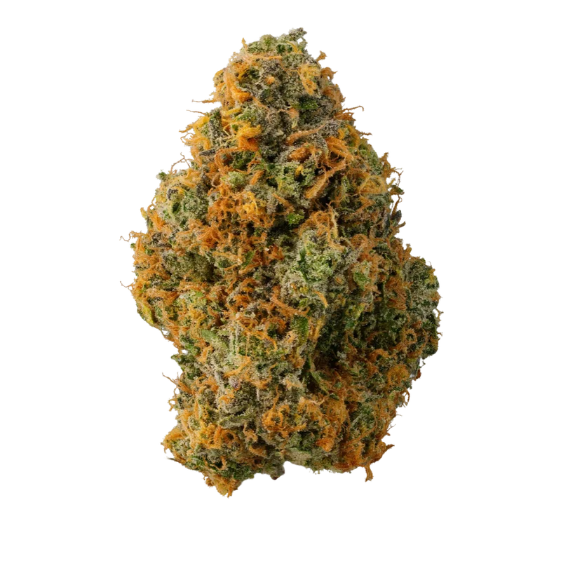 Z Strain – Cannabisblüte von Doja