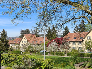 Gelbe Siedlung einer Genossenschaft aus den 1920er Jahren mit Garten davor