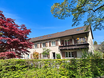 Reiheneinfamilienhäuser hinter einer Hecke an einem sonnigen Tag