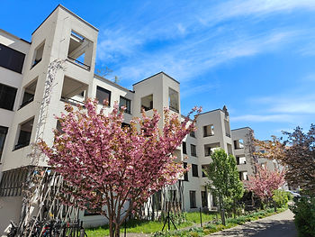 Modernes weisses Mehrfamilienhaus mit blühenden Sträuchern davor