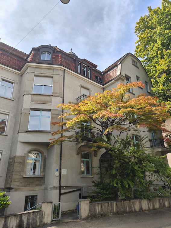 Jugendstilhaus mit herbstlich verfärbtem Ahorn davor