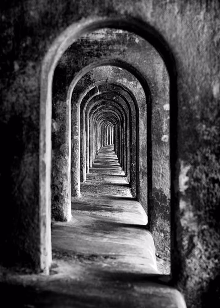 Andy Watts Photography