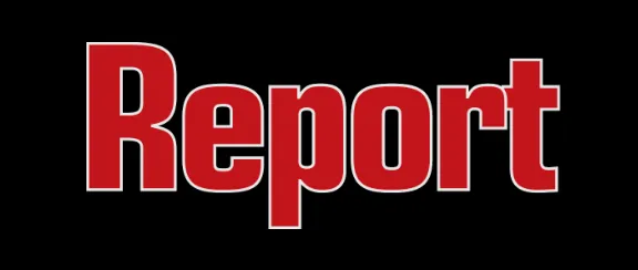 Logo Report